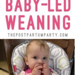 baby=led weaning pin