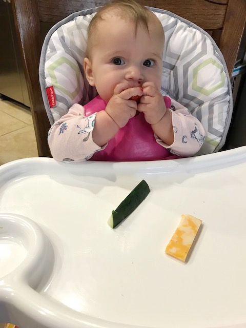 Six month old baby seeing benefits of baby-led weaning