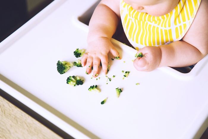 broccoli as a first food for blw