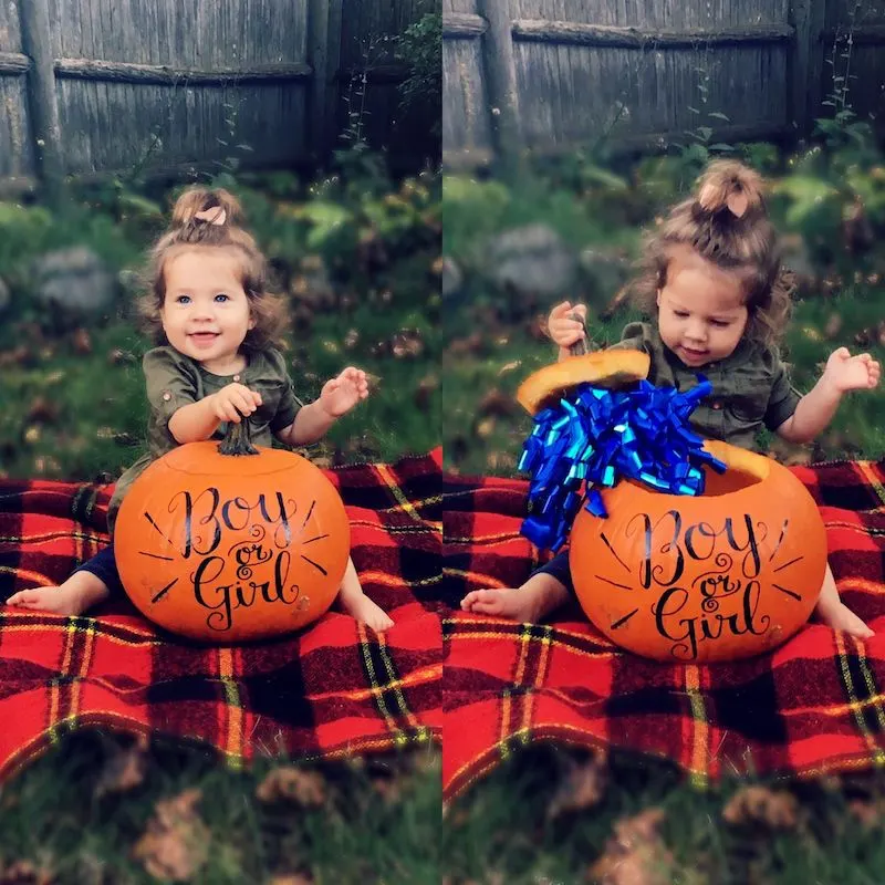 pumpkin in a ribbon to reveal baby's gender