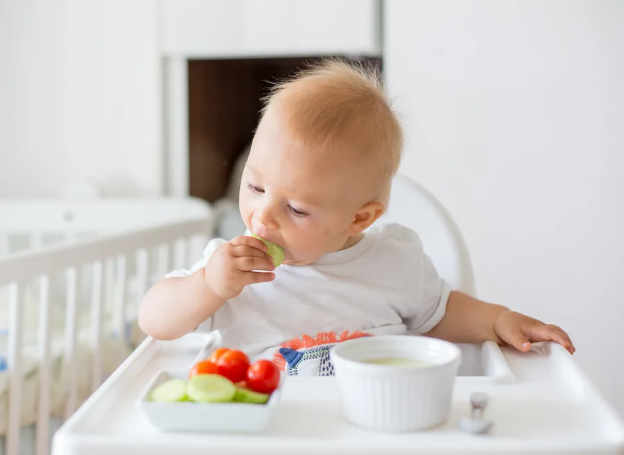 baby led weaning in high chair
