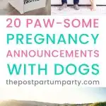 dog pregnancy announcement pin image