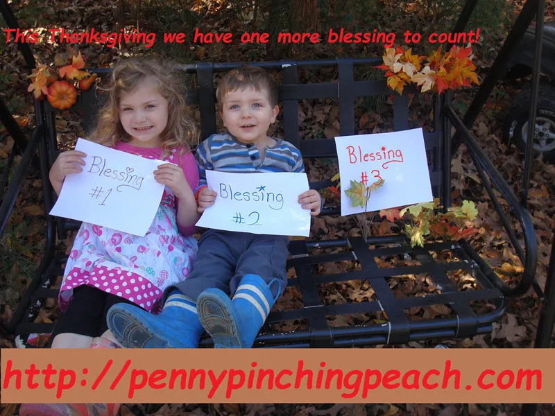 sibling pregnancy announcement on bench