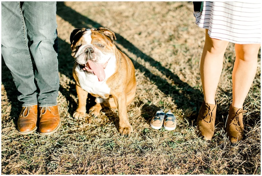 human feet and baby shoes with dog to announce pregnancy