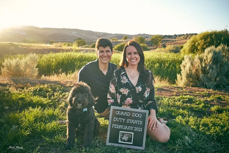 guard dog pregnancy announcement with letterboard sign