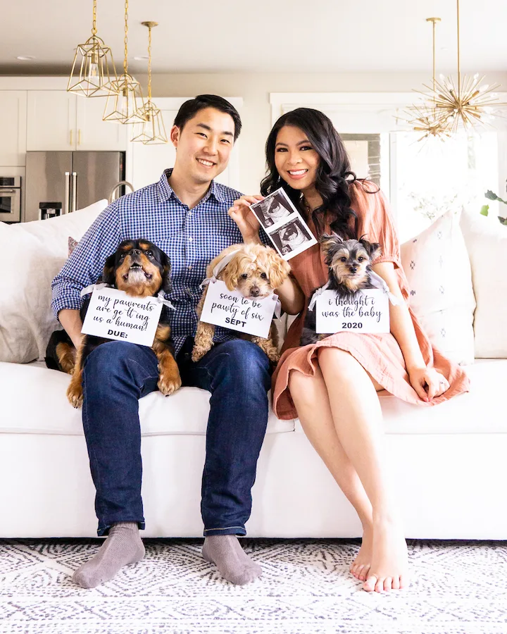 party of six - dog pregnancy announcement