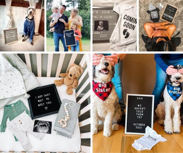 10 Adorable Letter Board Pregnancy Announcements The Postpartum Party
