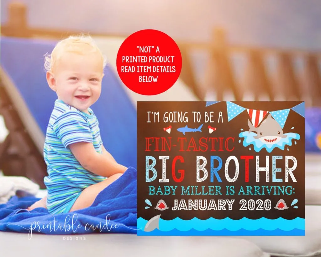 beach pregnancy announcement  with little boy and shark sign