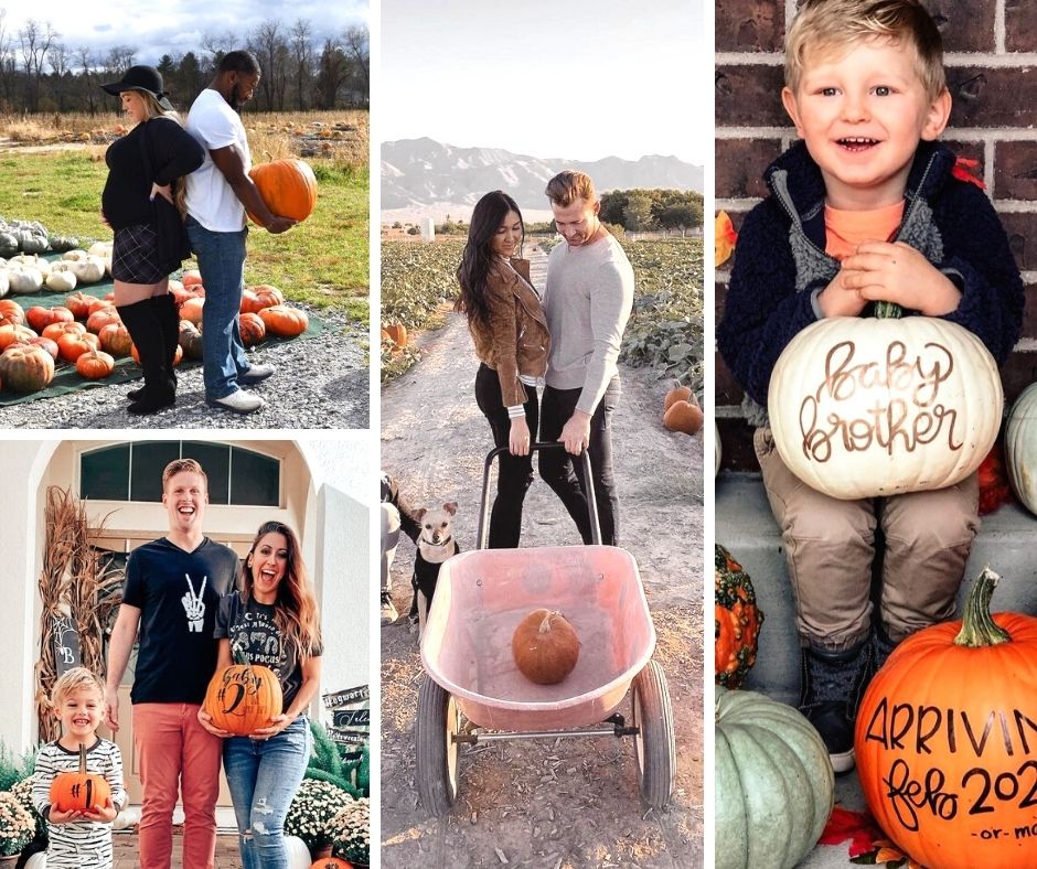 fall pregnancy announcement