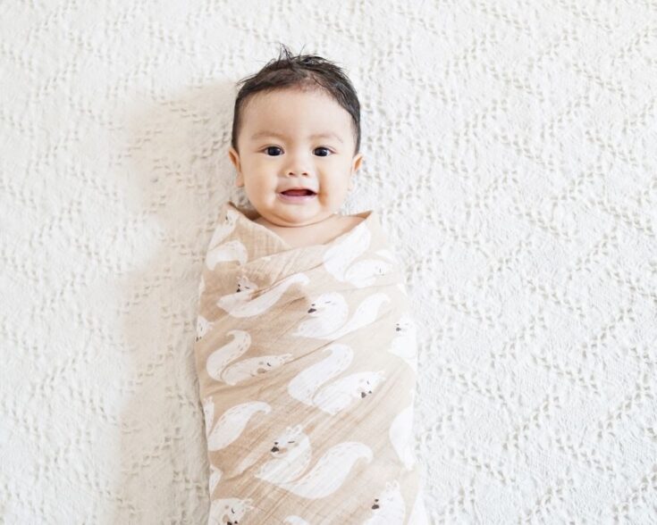 Should You Swaddle Your Baby? (Pros and Cons of Swaddling)