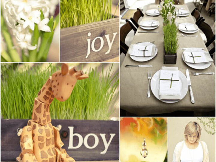 spring baby shower theme
