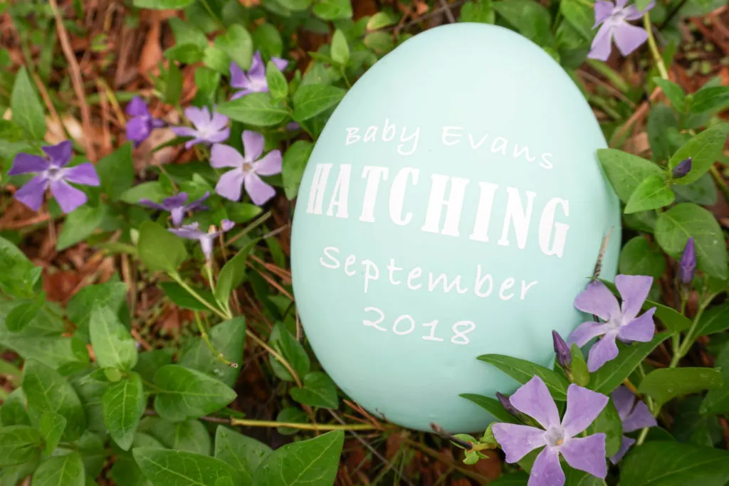 egg craft to announce pregnancy
