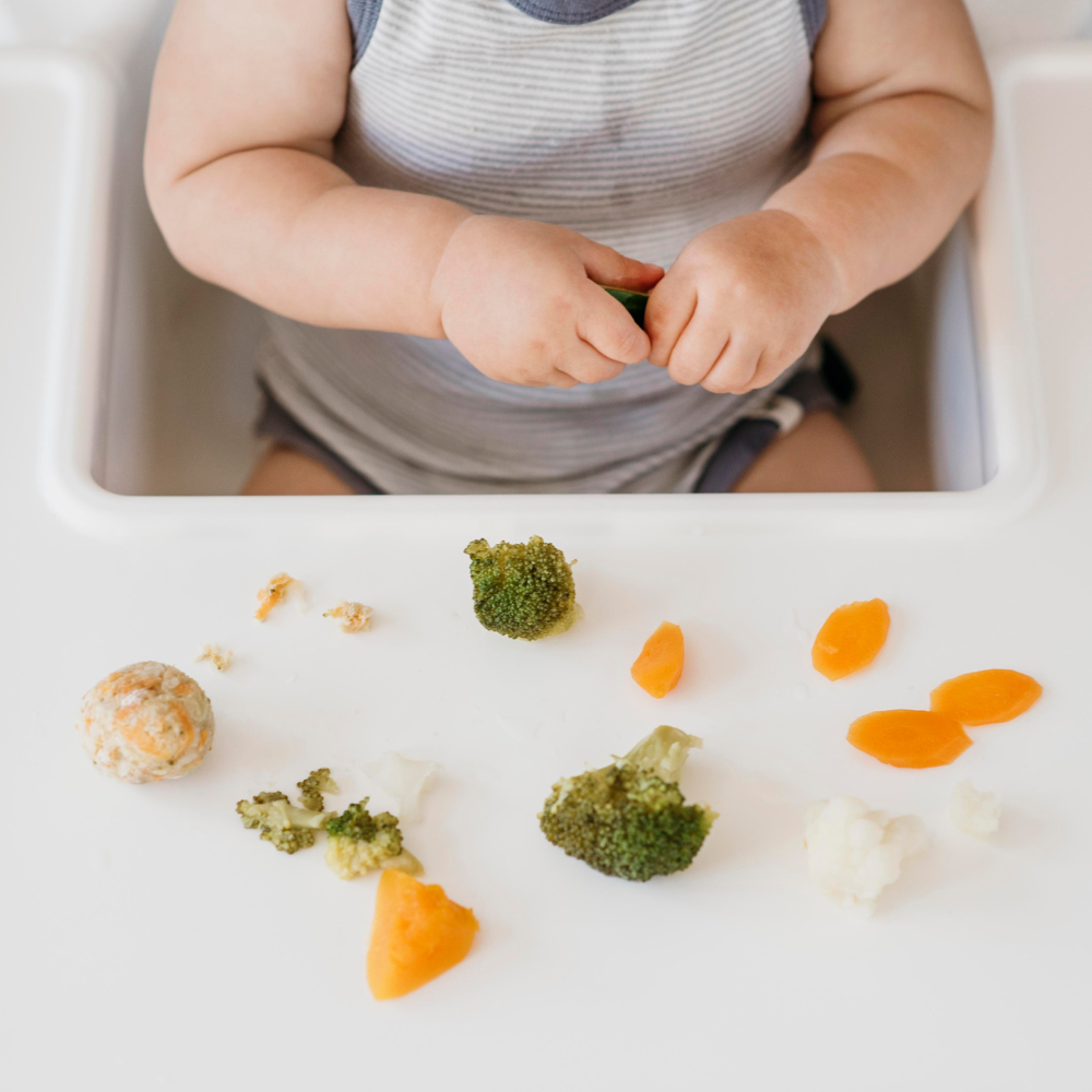 What is Baby Led Weaning? An Easy Overview of BLW