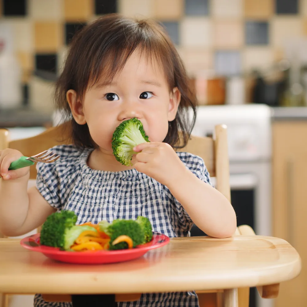 baby girl in a highchair, holding a fork in one hand and bringing a piece of broccoli to her mouth with the other hand