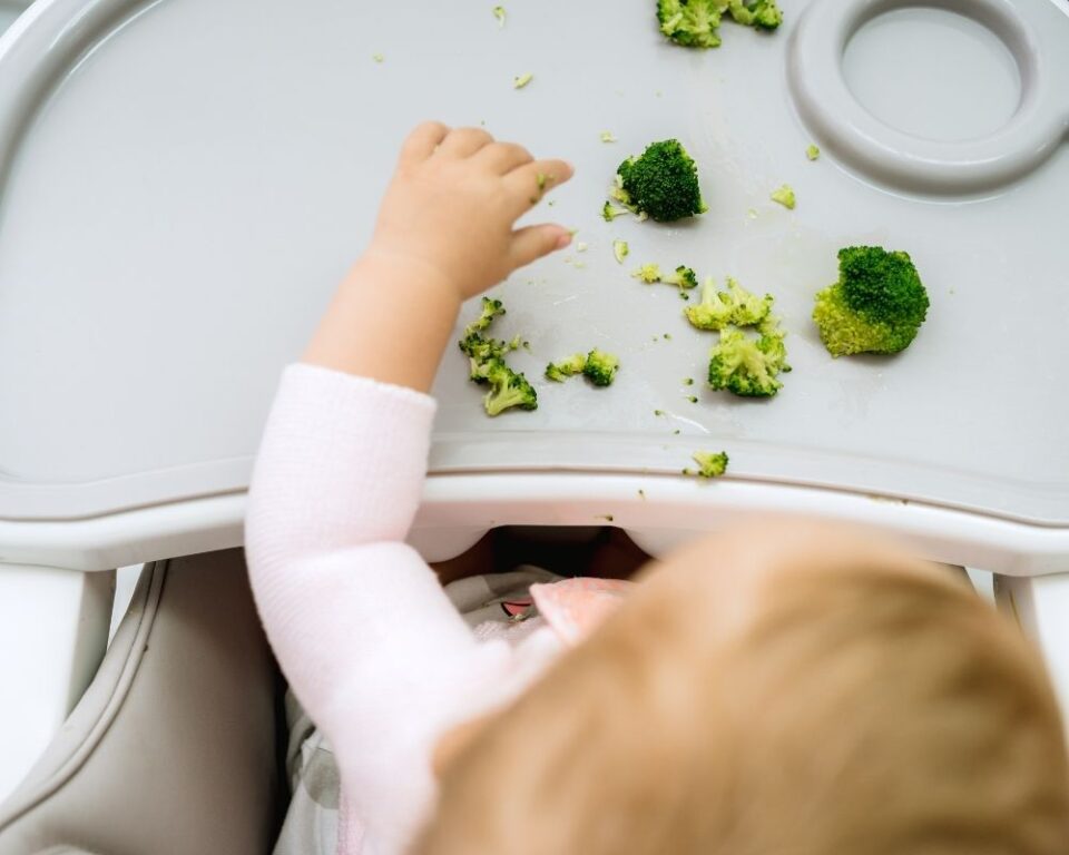 What is Baby Led Weaning? (Easy Overview of How to Do BLW)