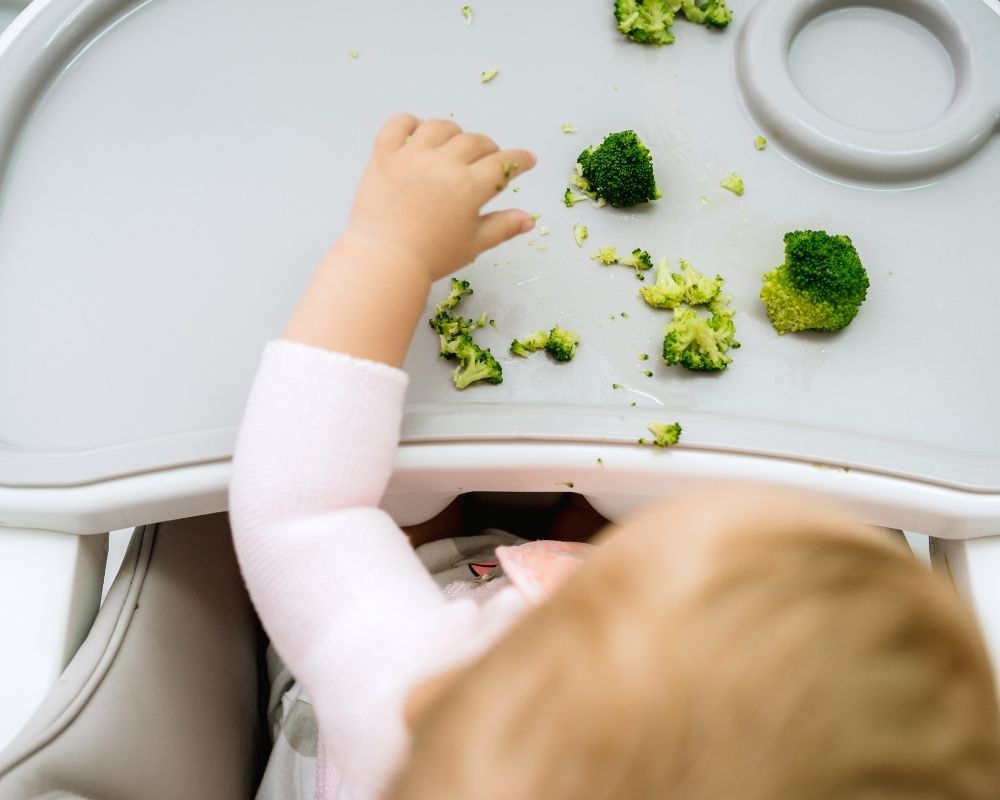 baby eating broccoli through baby led weaning