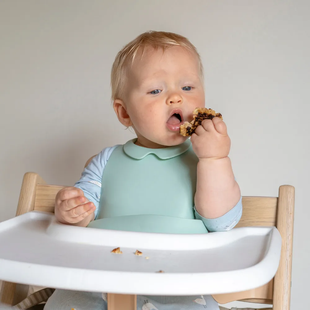 Infant sitting in highchair holding a piece of meat to his mouth.