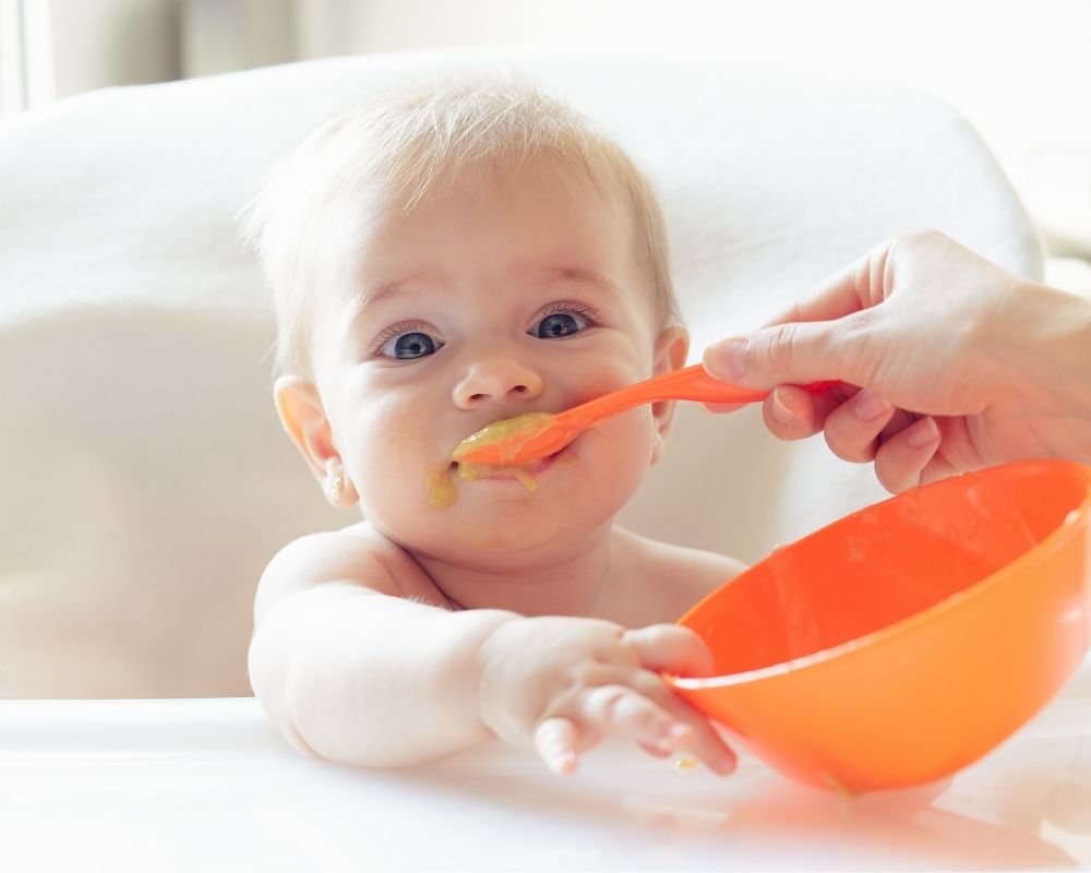Baby Led Weaning vs. purees: baby being spoon fed in high chair