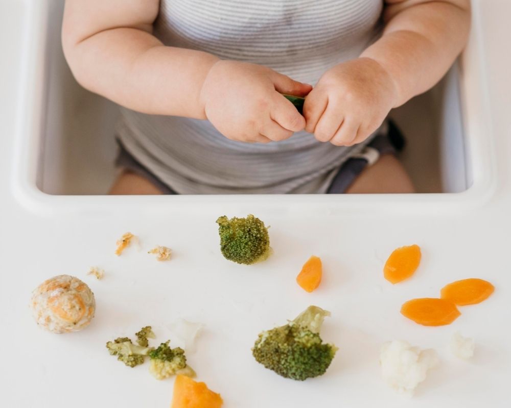 baby led weaning vs purees - high chair tray with a varity of finger foods