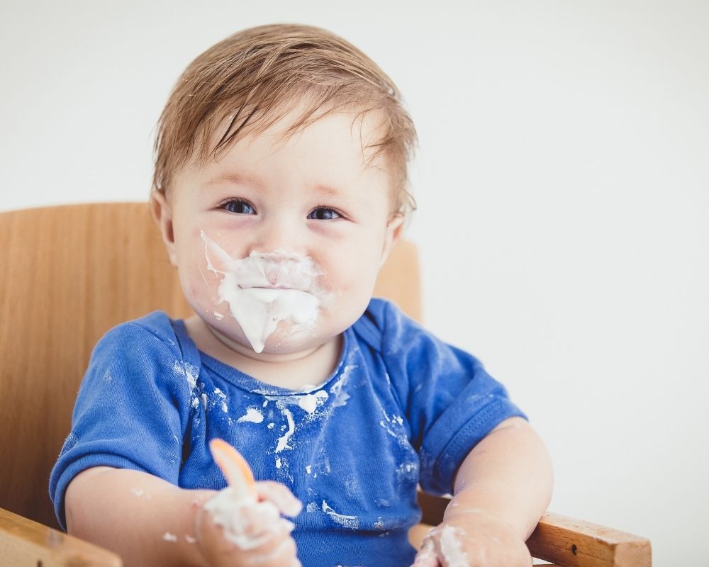 baby led weaning vs purees