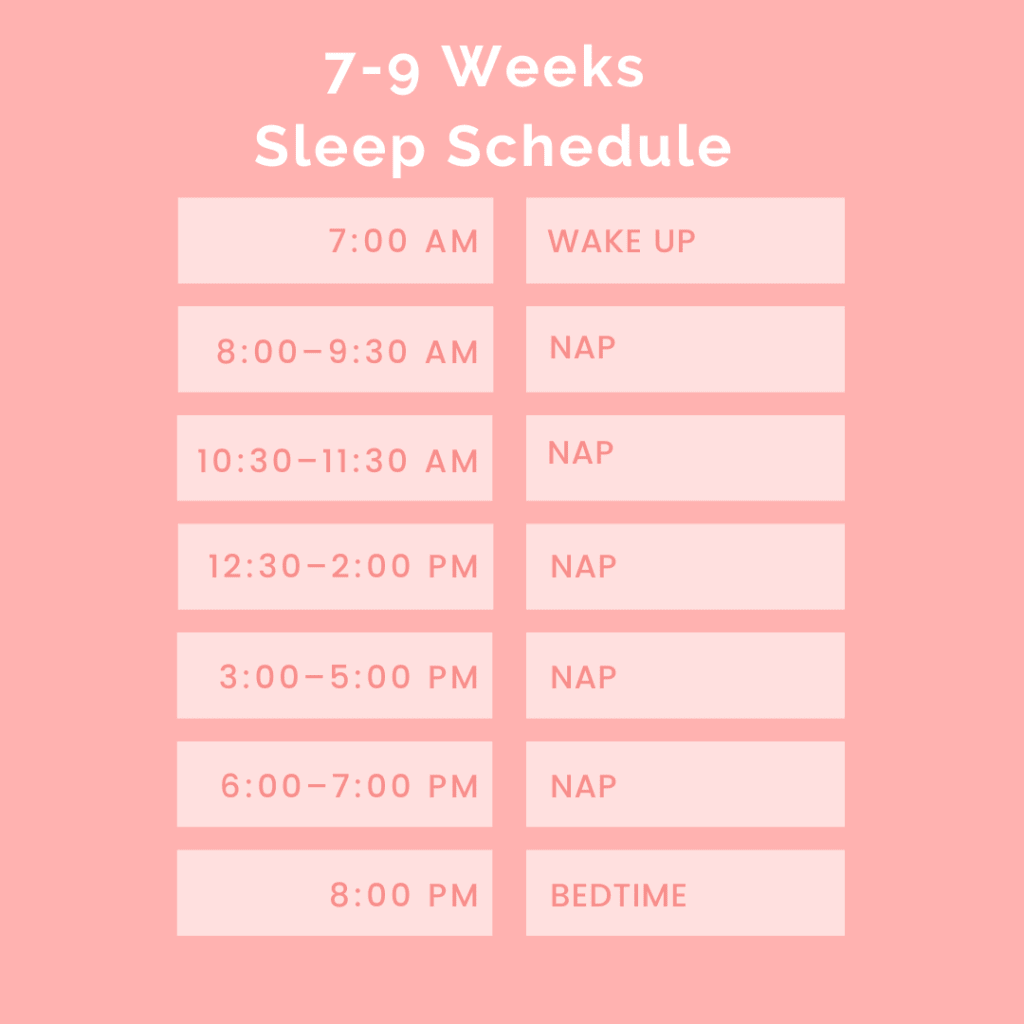 sample newborn schedules