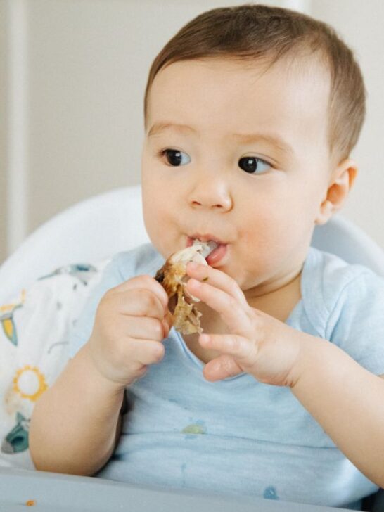 5 Tips to Prevent Choking in Baby Led Weaning