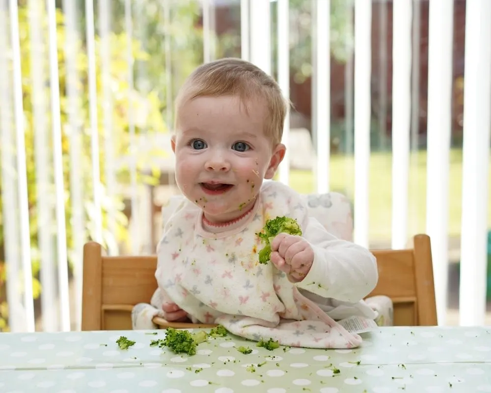 baby eating broccoli baby led weaning method