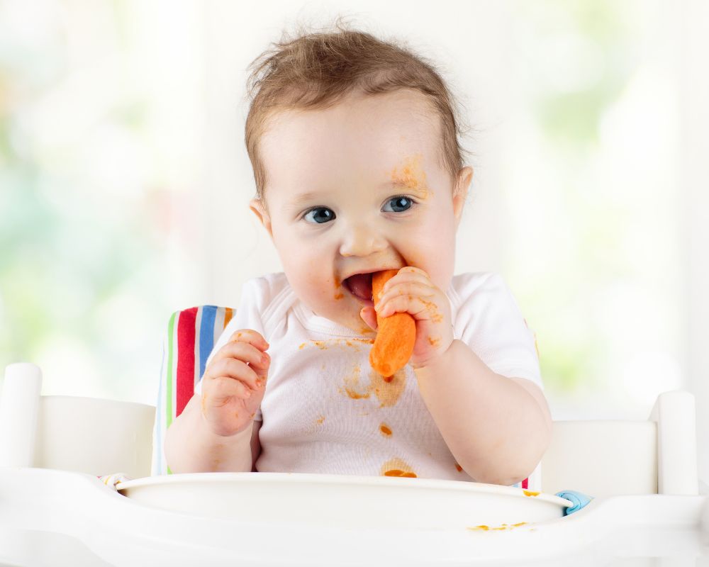 baby gnawing on a sweet potato through baby led weaning