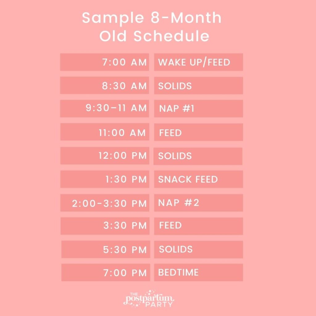 8 month old sample schedule