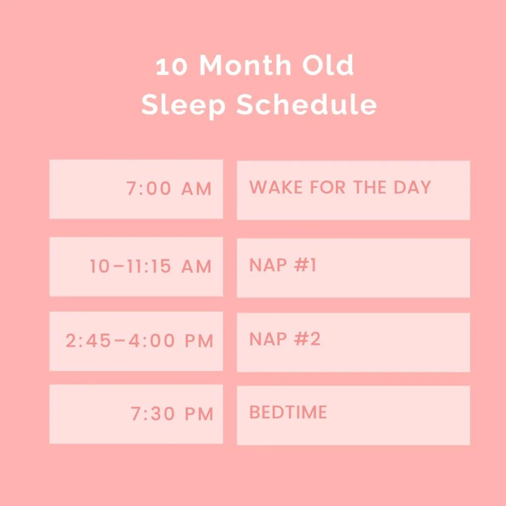 10 month old sleep schedule
