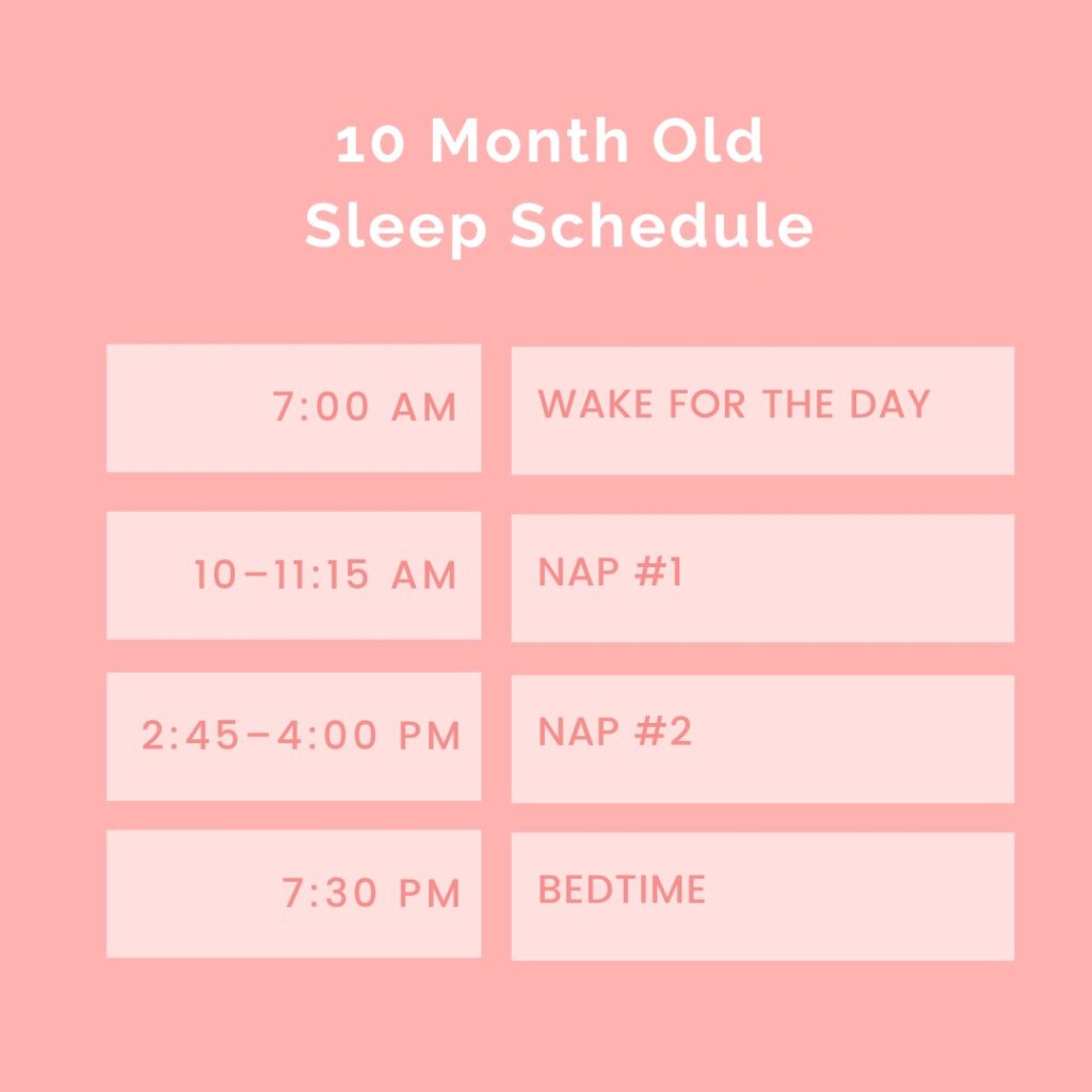 Sample 10 Month Old Sleep Schedule With Naps And Feedings