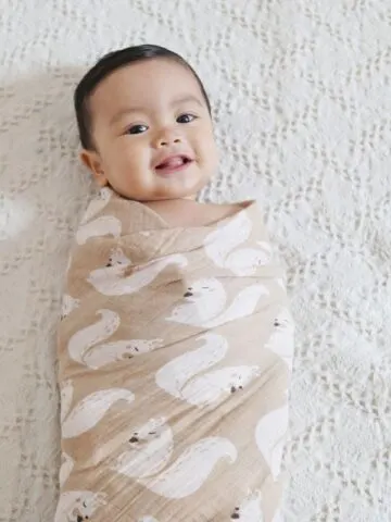 baby in a swaddle
