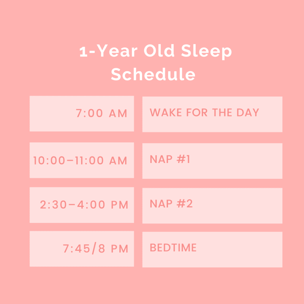 1 Year Old Sleep Schedule (with Naps and Bedtime)