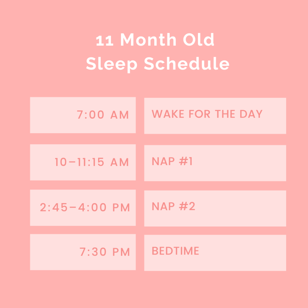 11 month old sleep schedule graphic