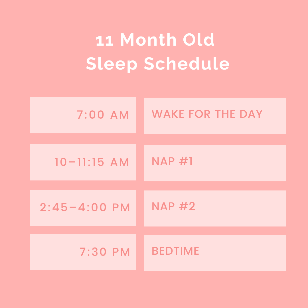 11 Month Old Sleep Schedule The Postpartum Party 11-month-old-sleep-schedule-the-postpartum-party