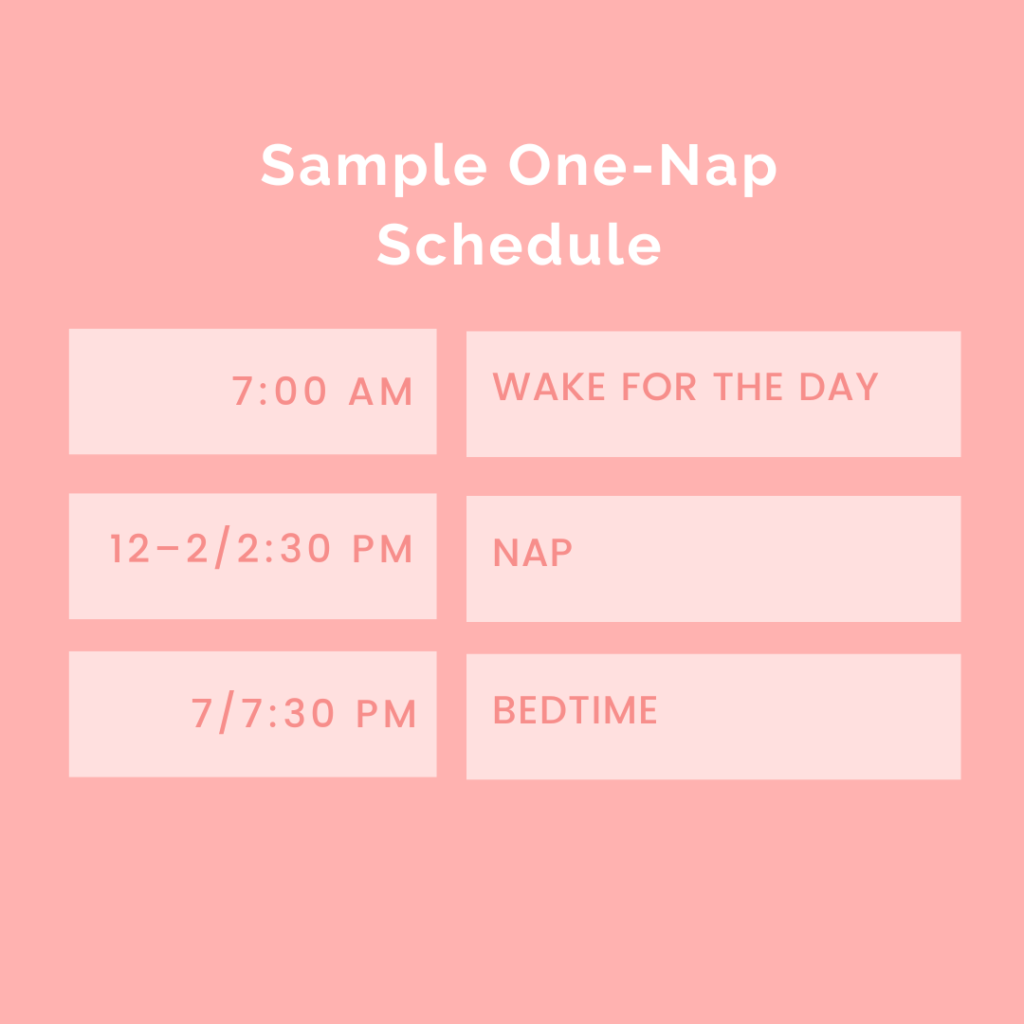 one nap transition sample schedule