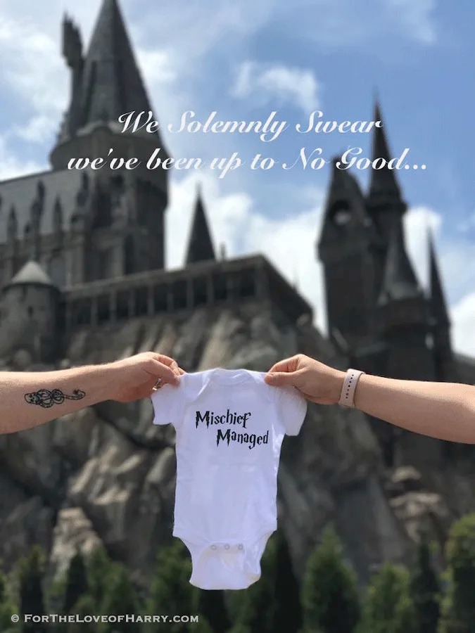 Harry Potter pregnancy announcement in front of Hogwarts castle
