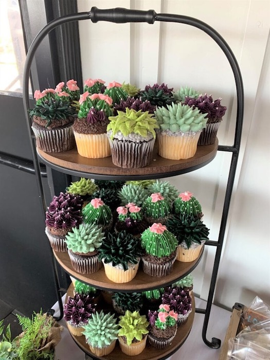 Succulent cupcakes for garden themed baby shower