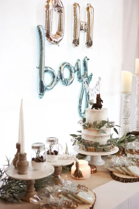 woodland baby shower theme for boy
