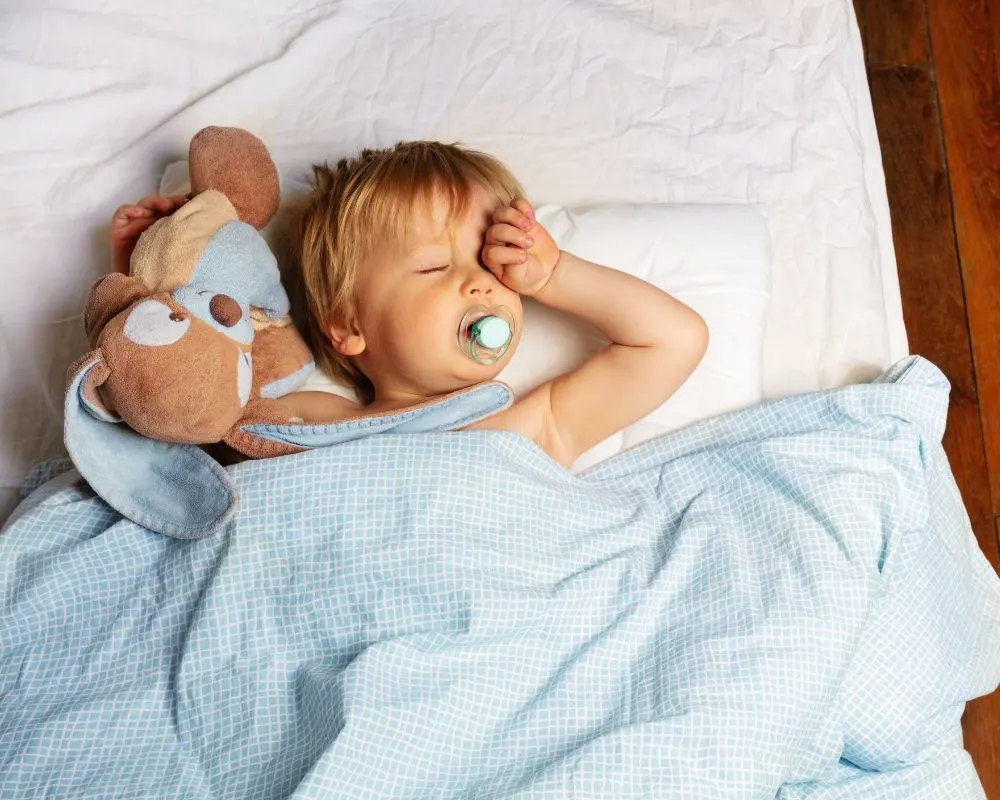 toddler sleeping with stuffed animal and blanket