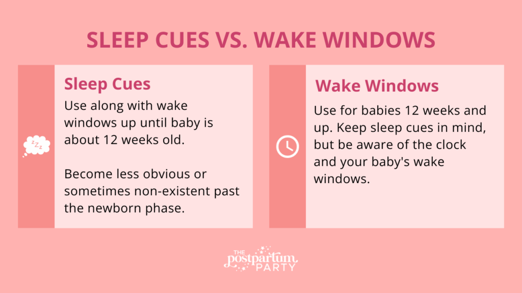 Sleep cues vs wake windows graphic